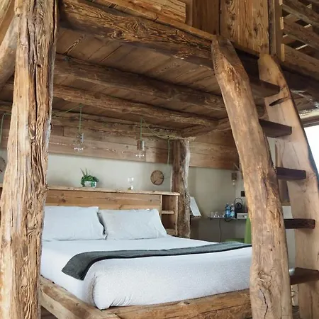 Virasol درونيرو