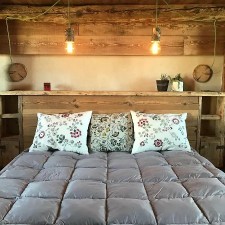 Virasol درونيرو