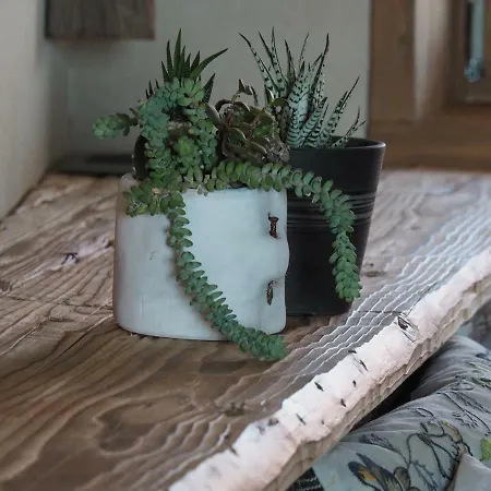 فندق مبيت وإفطار Virasol 3*