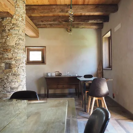 Virasol درونيرو